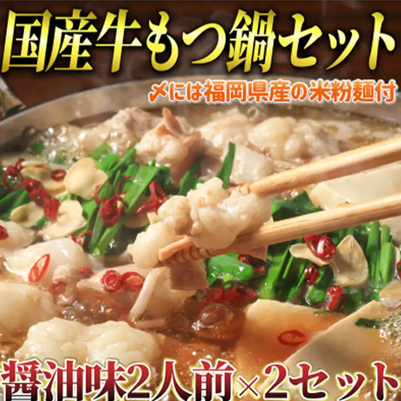 もつ鍋 醤油味 2人前×2セット(合計4人前)(米粉麺付) 【もつ鍋 もつなべ 鍋 なべ もつ 鍋セット 鍋料理 牛もつ 冷凍 国産 人気 福岡 土産 九州 博多 ご当地 福岡県 筑前町 CA013】