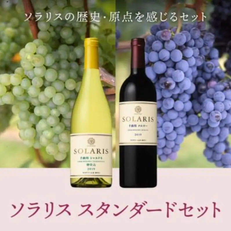 ワイン 信州ワイン 赤 白 ソラリス スタンダードセット ワインセット フレッシュ 果実香 ほどよい酸味 アロマ 果実味 タンニン