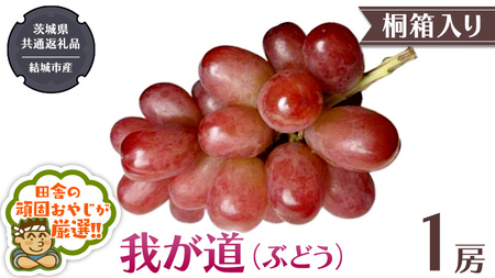 【 桐箱入り 】我が道 （ ぶどう ） 1房 【2026年9月から発送開始】（茨城県共通返礼品 [ぶどう]：結城市産） 