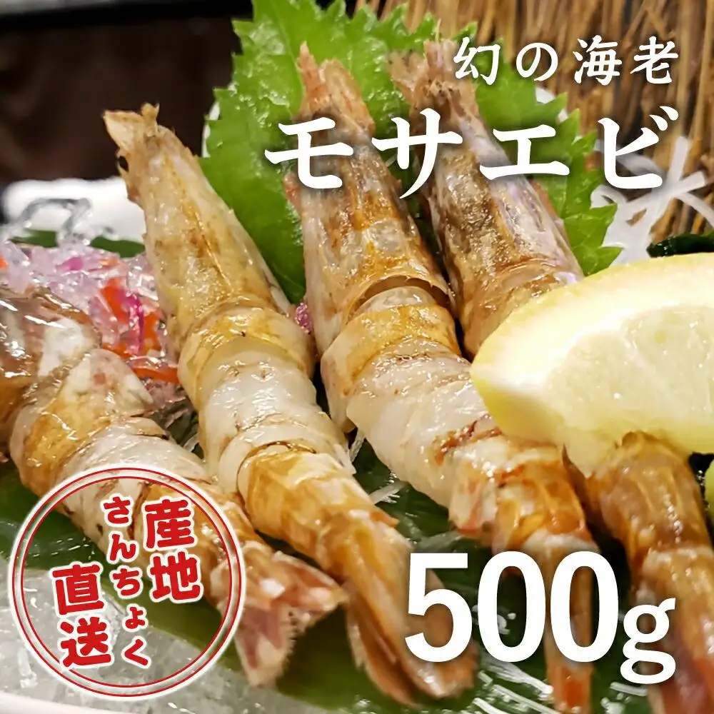 ＜お手軽パック＞幻の海老！猛者エビ(モサエビ) 500g【さんチョク】