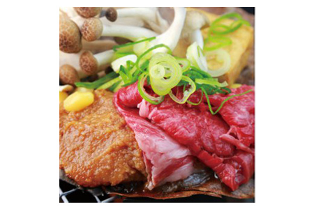 【2607-2586】※飛騨牛朴葉味噌セットNP-91