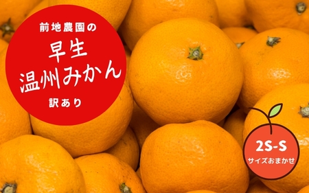 わけあり ワケアリ みかん 早生 数量限定 温州 ミカン ご家庭用 家庭用 / 2S-S サイズおまかせ 前地農園の早生温州みかん  ご家庭用 訳あり 7kg【2026年12月初旬から12月中旬までに順次発送予定】【mmd006B】