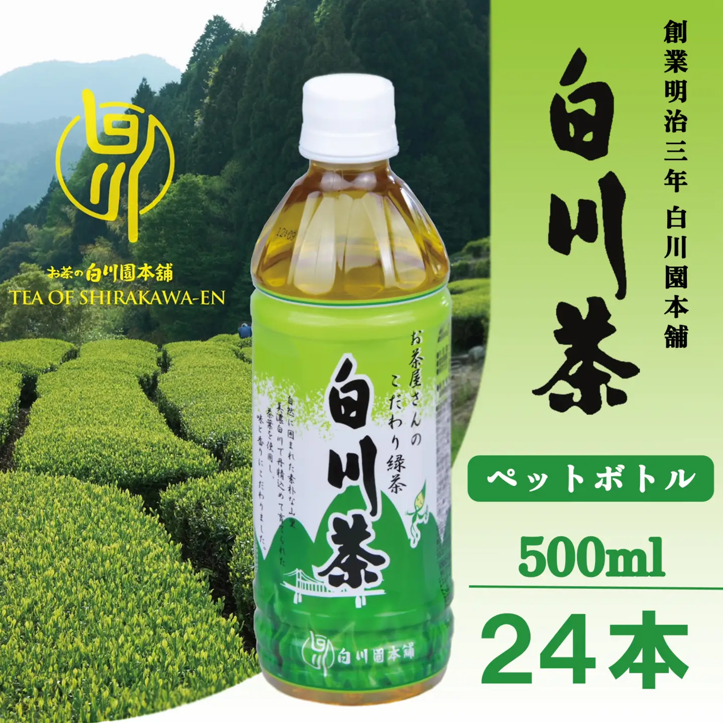 白川茶 ペットボトル 500ｍl 24本入り 1ケース お茶 茶 緑茶 国産 国産緑茶