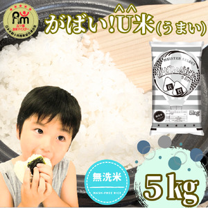 CID71_【がばい！U米(うまい)】≪無洗米≫お徳用５ｋｇ！ （５ｋｇ×１袋）　家庭用　生活応援【訳あり】 おすすめ　人気ブランド　特A銘柄も含む　５ｋｇ以上