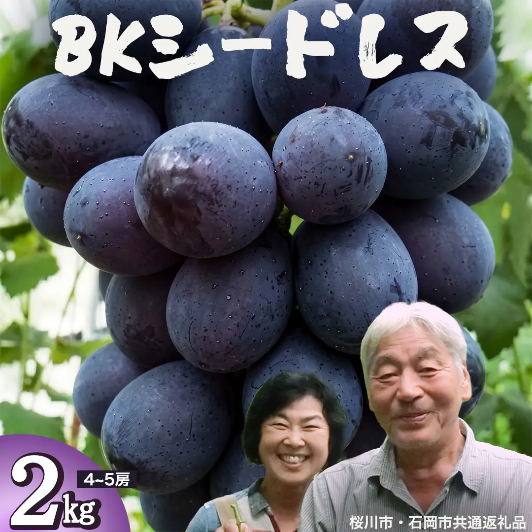 BKシードレス 約2kg (桜川市・石岡市共通返礼品） 2026年9月上旬発送開始 開田ぶどう園 産地直送 フルーツ 甘い 直送 茨城 限定 ギフト ぶどう BKシードレス 果物 [DO009sa]