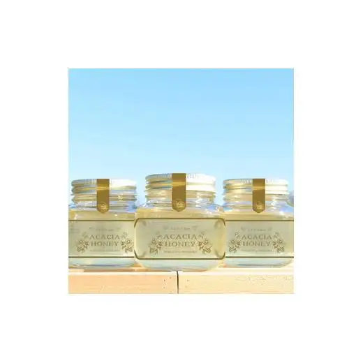 【数量限定！】北海道岩見沢産アカシアの蜂蜜350g×2個【48102】