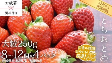 【 お歳暮 熨斗付 】 とちおとめ 〈いちご〉 大粒 250g（8～12粒）×4パック【2026年12月から発送開始】（茨城県共通返礼品 [いちご]：城里町産） ギフト 贈答 フルーツ 果物