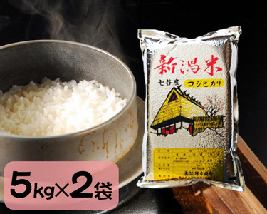【令和5年産米】七谷産コシヒカリ 精米10kg（5kg×2）白米 坪幸商店