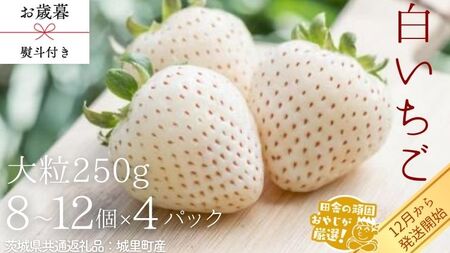 【 お歳暮 熨斗付 】白いちご大粒 250g（8～12粒）×4パック【2026年12月から発送開始】（茨城県共通返礼品 [いちご]：城里町産） ギフト 贈答 フルーツ 果物