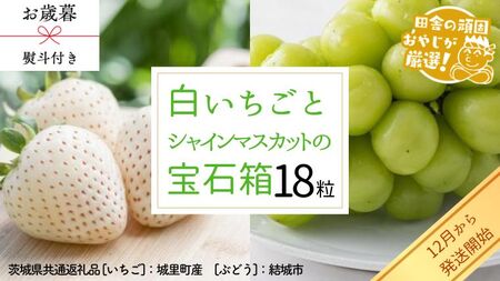 【 お歳暮 熨斗付 】 シャインマスカットと白いちごの 宝石箱 18粒【12月から発送開始】（茨城県共通返礼品 [ぶどう]：結城市　[いちご]：城里町産） ギフト 贈答 フルーツ 果物