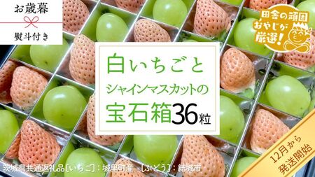 【 お歳暮 熨斗付 】シャインマスカットと白いちごの宝石箱 36粒【12月から発送開始】（茨城県共通返礼品 [ぶどう]：結城市　[いちご]：城里町産） ギフト 贈答 フルーツ 果物