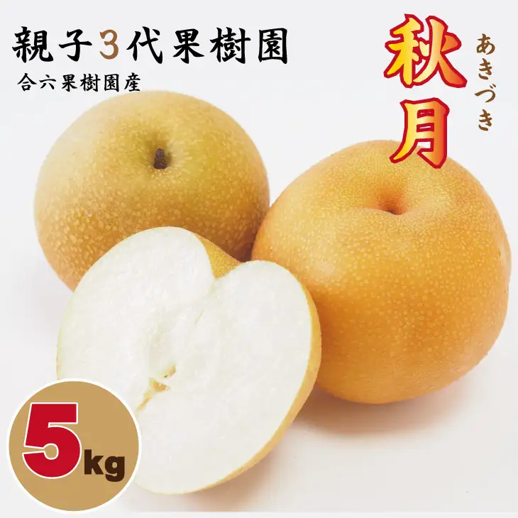 【先行予約】あきづき「秋月」 梨 5kg 親子三世代 農家 合六果樹園 梨 果物 フルーツ B140-017 