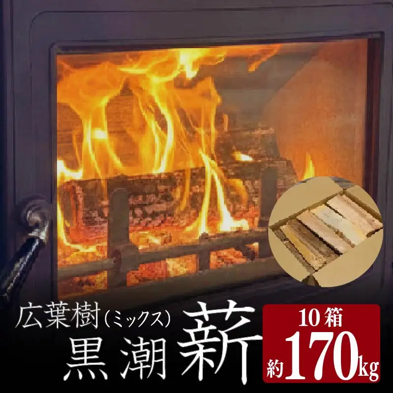 【 薪 】 10箱 170kg 乾燥薪 薪 黒潮薪 まき ［1606-2］