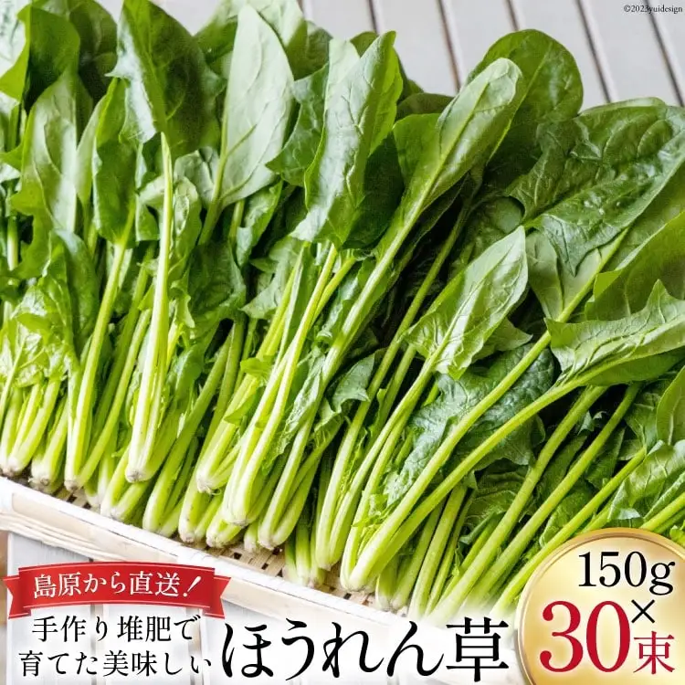 CH011 ほうれん草 150g×30束