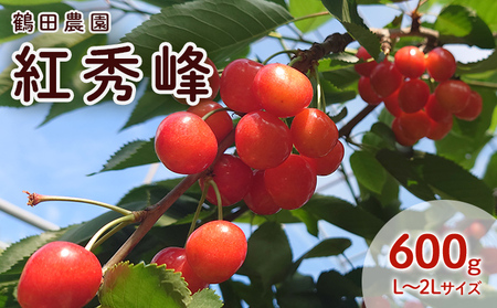 さくらんぼ 600g 紅秀峰 Lサイズ以上 サクランボ