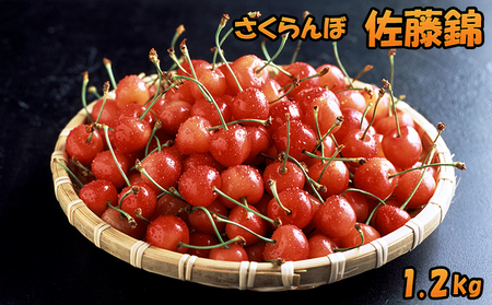 さくらんぼ 1.2kg 佐藤錦 サクランボ