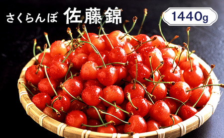 さくらんぼ 1440g 佐藤錦 サクランボ
