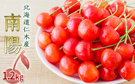 さくらんぼ 1.2kg 南陽 サクランボ