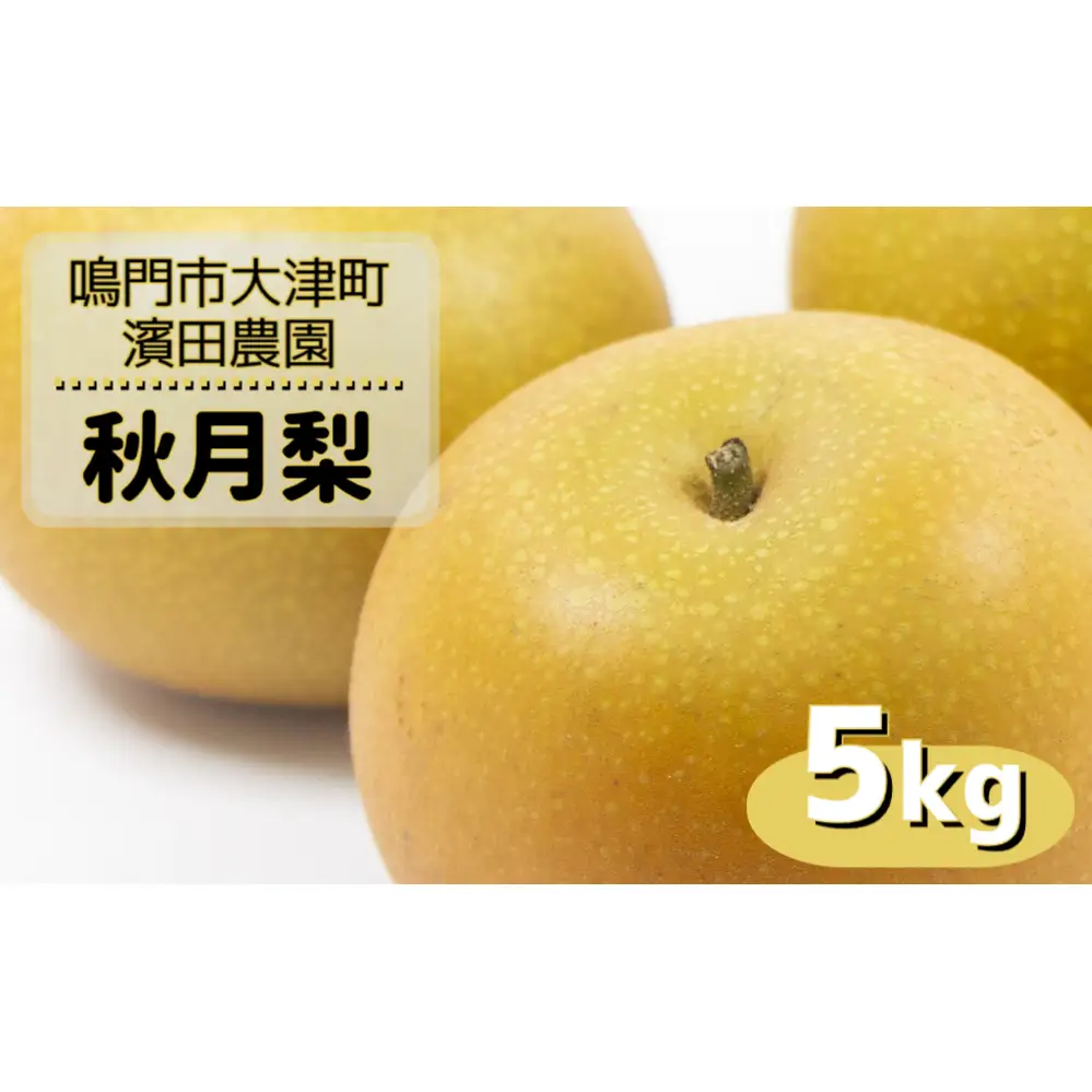【予約受付中】【9月上旬より順次発送】 【濱田農園】 秋月梨 約5kg 【数量限定】