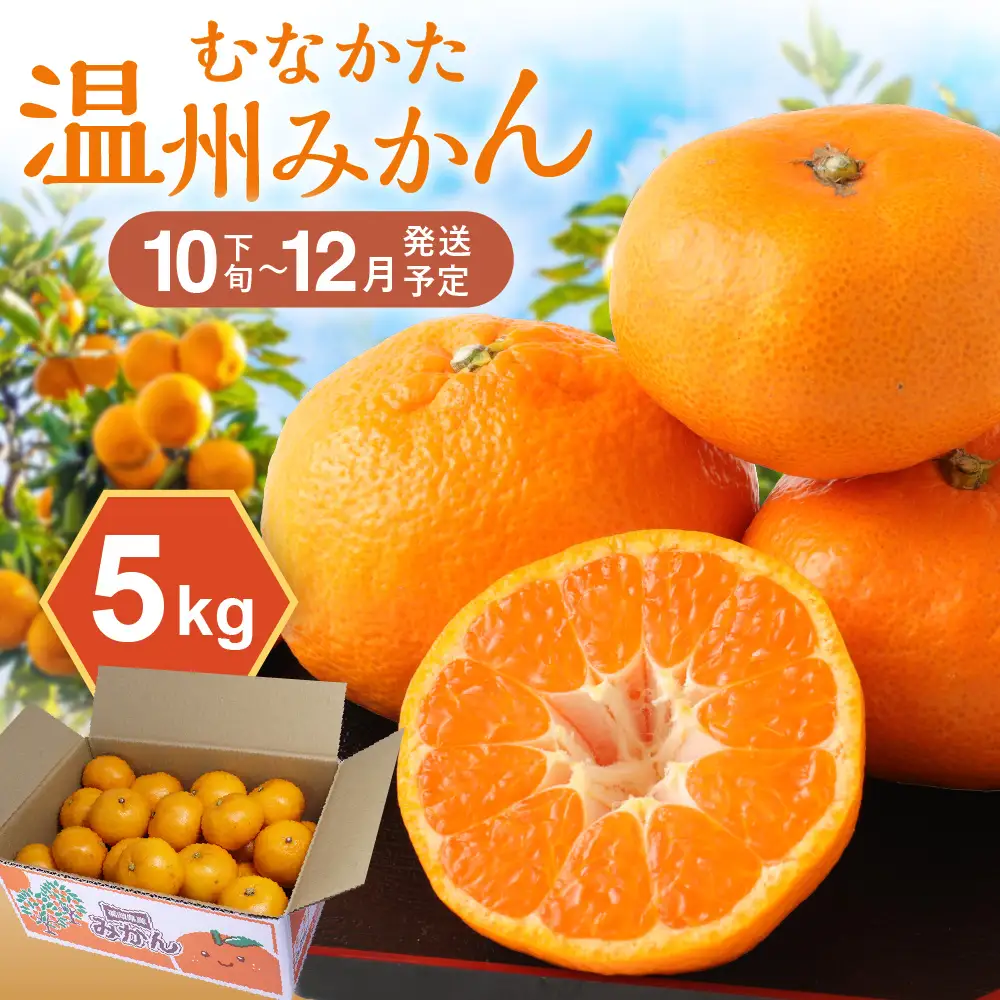 むなかた温州みかん 5kg 【2026年10月下旬～12月発送】【JAほたるの里】_HA1345