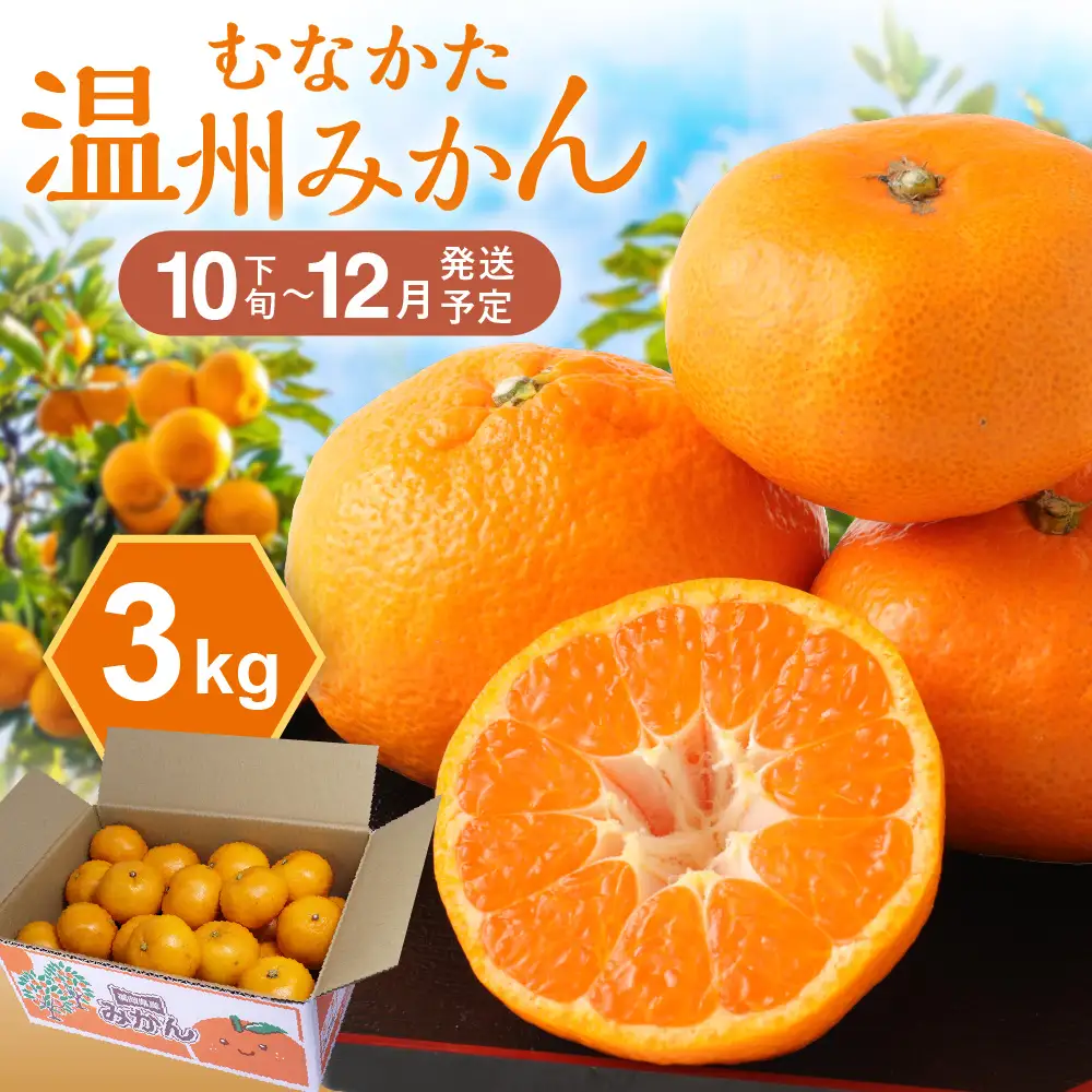 むなかた温州みかん 3kg 【2026年10月下旬～12月発送】【JAほたるの里】_HA1346