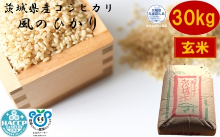 ＼農家直送！低温保存玄米／茨城県産コシヒカリ　風のひかり　30kg（茨城県共通返礼品・かすみがうら市産） IJ-013