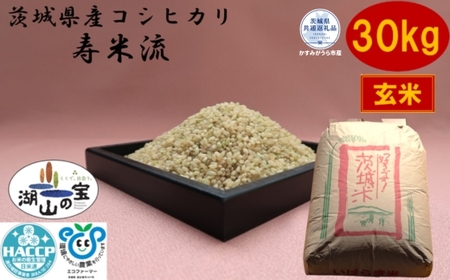 ＼農家直送！低温保存玄米／茨城県産コシヒカリ「寿米流(すまいる)」30kg（茨城県共通返礼品・かすみがうら市産） IJ-014