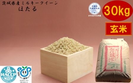 ＼農家直送！低温保存玄米／茨城県産ミルキークイーンほたる30kg（茨城県共通返礼品・かすみがうら市産） IJ-015