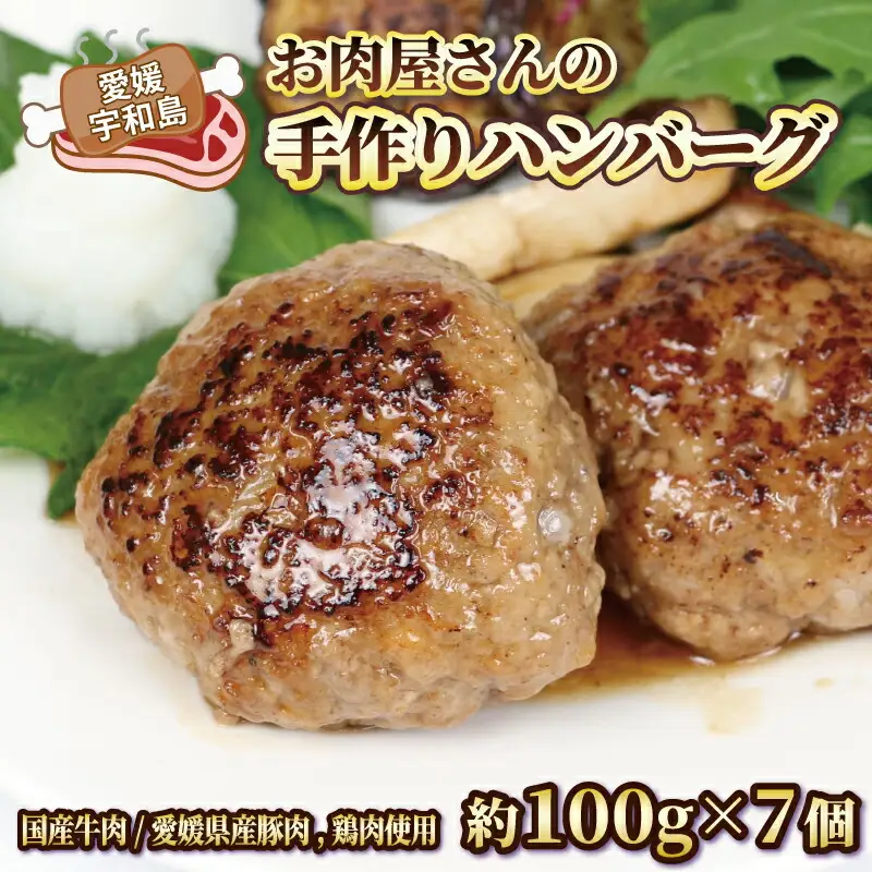 おかず お 肉屋 さんの 手作り ハンバーグ 泉精肉店 おかず E010-142001