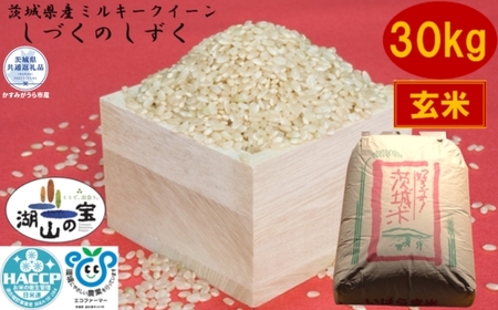 ＼農家直送！低温保存玄米／茨城県ミルキークイーンしづくのしずく30kg（茨城県共通返礼品・かすみがうら市産） IJ-016