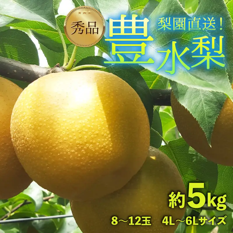 【先行予約】上野梨園の豊水梨 8～12玉入 約5kg  4L～6L【秀品】《数量限定》梨園直送！ / 期間限定 果物 フルーツ 農家直送 シャキシャキ もぎたて 旬 お取り寄せ ※2026年9月上旬より順次発送 [aw077-a021]