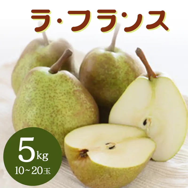 ラ・フランス 5kg なし ナシ 梨 デザート フルーツ 果物 くだもの 果実 食品 山形県 FSY-2897
