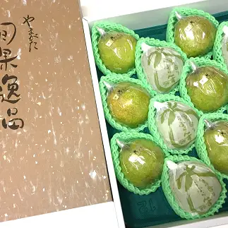 【令和8年産先行予約】 【市農業祭最優秀賞受賞者】 ラ・フランス 約5kg (8～12玉 特選 5～6L) 《令和8年11月上旬～発送》 『長谷部農園』 洋梨 梨 果物 フルーツ 山形県 南陽市 [1098]