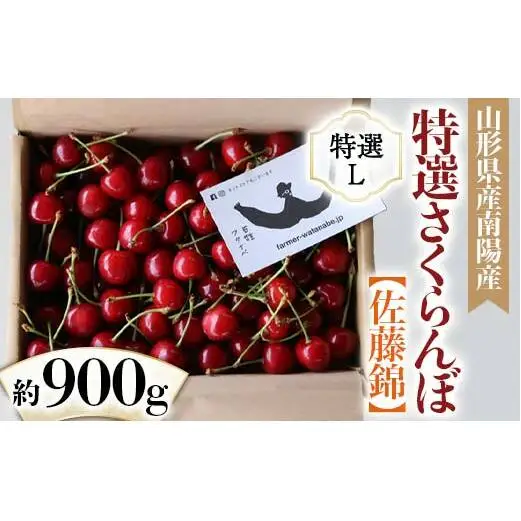 【令和9年産先行予約】 さくらんぼ 「佐藤錦」 約1kg （特選 L玉） バラ詰め 《令和9年6月中旬～発送》 『最上園』 サクランボ 果物 フルーツ 産地直送 山形県 南陽市 ［1334］