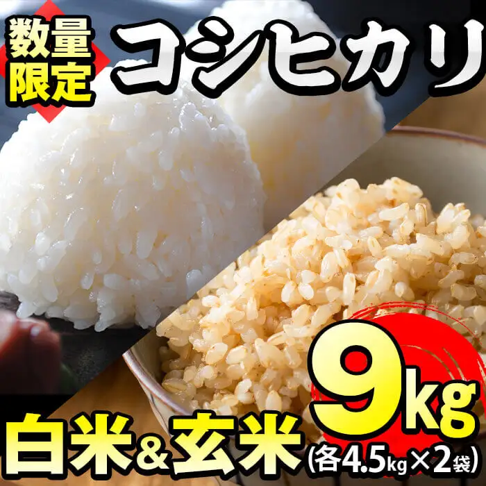 【米の匠】川崎さん自慢のコシヒカリ＜白米＆玄米＞ 計9kg(各4.5kg×2袋) b2-036-R6-3w