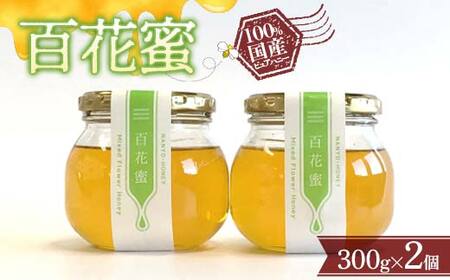 百花蜜 300g × 2個セット 『板垣養蜂園』 山形県 南陽市 [312]