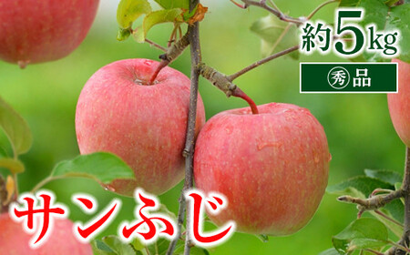 【令和8年産先行予約】 〈家庭用〉 りんご 「サンふじ」 約5kg (13～18玉 マル秀) パック詰め 《令和8年11月中旬～発送》 『マルタニ農園』 リンゴ 山形県 南陽市 [1281]