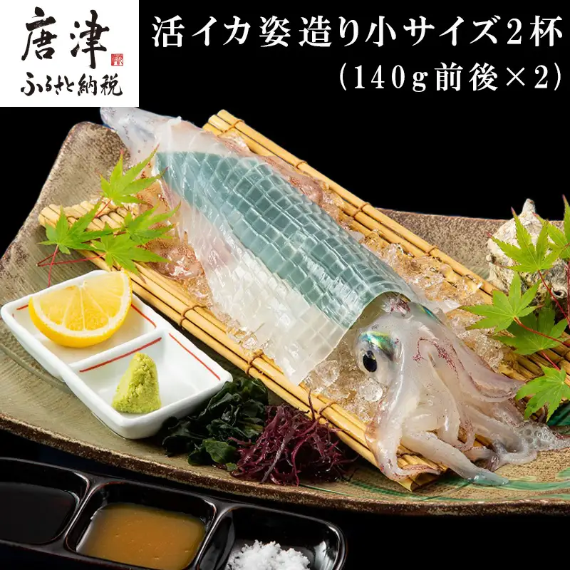 活イカ姿造り小サイズ(140g前後)2杯セット！鮮度抜群 捌きたて瞬間冷凍