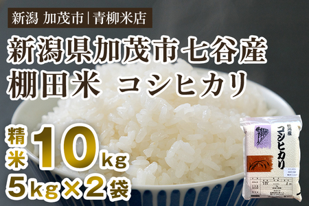 【令和8年産新米先行予約】新潟産コシヒカリ 加茂市七谷産 棚田米 精米10kg（5kg×2）《9月下旬～順次出荷》 白米 真空パック 青柳米店
