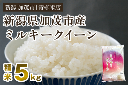 【令和8年産新米先行予約】新潟県央地区 ミルキークイーン 精米5kg 《9月下旬～順次出荷》 白米 青柳米店