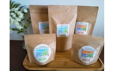 056-9　【ティーバック＆粉末茶】深蒸し茶（一番茶のみ使用！）＆ほうじ茶お試しセット
