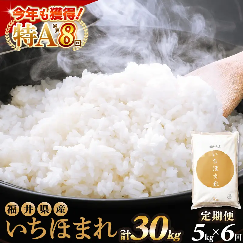 【6回定期便】いちほまれ 5kg 福井県 定期便 精米 ブランド米 [e27-g011]