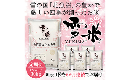 『定期便』魚沼産コシヒカリ精米『雪米YUKIMAI(登録商標)』5kg雪の国から～ 全6回 お米 白米 ブランド米 銘柄米 ご飯 おにぎり お弁当 和食 主食 国産 炭水化物 産地直送 