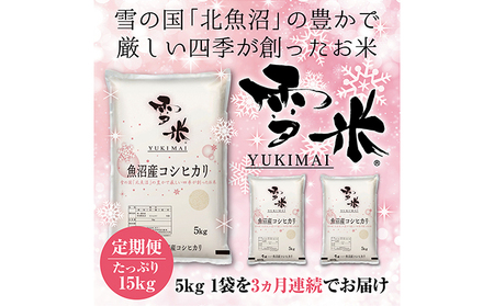 『定期便』魚沼産コシヒカリ精米『雪米YUKIMAI(登録商標)』5kg雪の国から～ 全3回 お米 白米 ブランド米 銘柄米 ご飯 おにぎり お弁当 和食 主食 国産 炭水化物 産地直送 