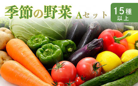 国産『季節の野菜詰め合わせセットA』15種類以上の新鮮な野菜をお届け！ TF0668-P00055