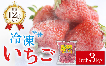 いちご農園のブランド苺【リッチゴ】(冷凍いちご×3kg)