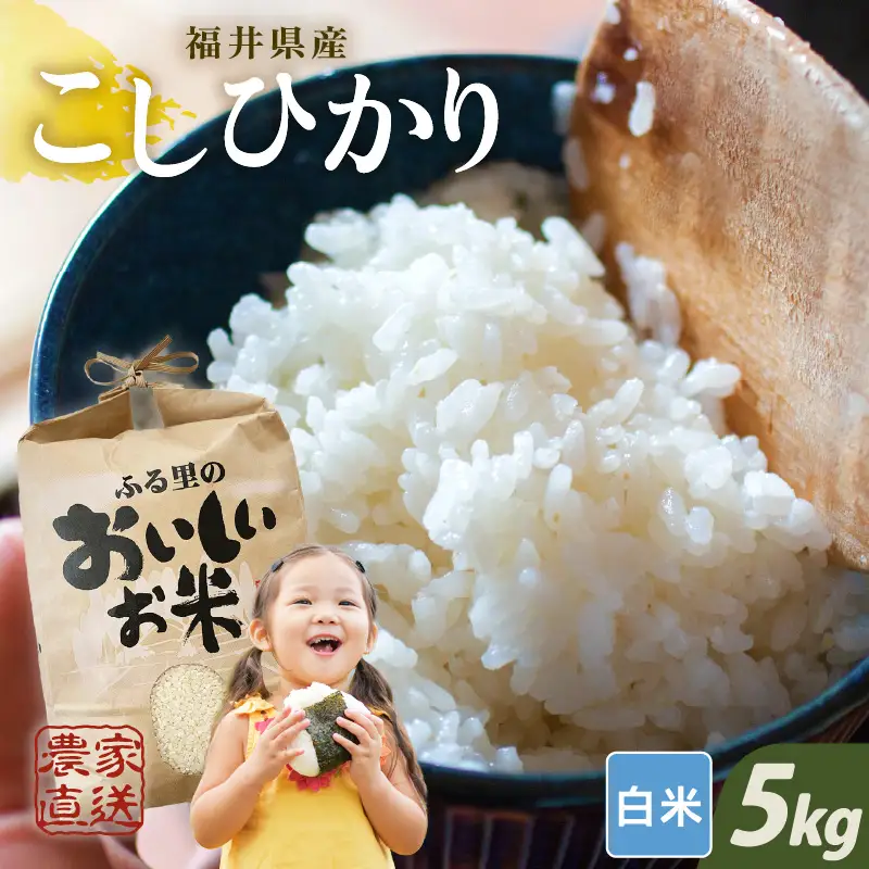 【先行予約】【令和8年産・新米】【白米 5kg】 コシヒカリ 5kg 【2026年10月上旬以降順次発送】[A-8934_01]