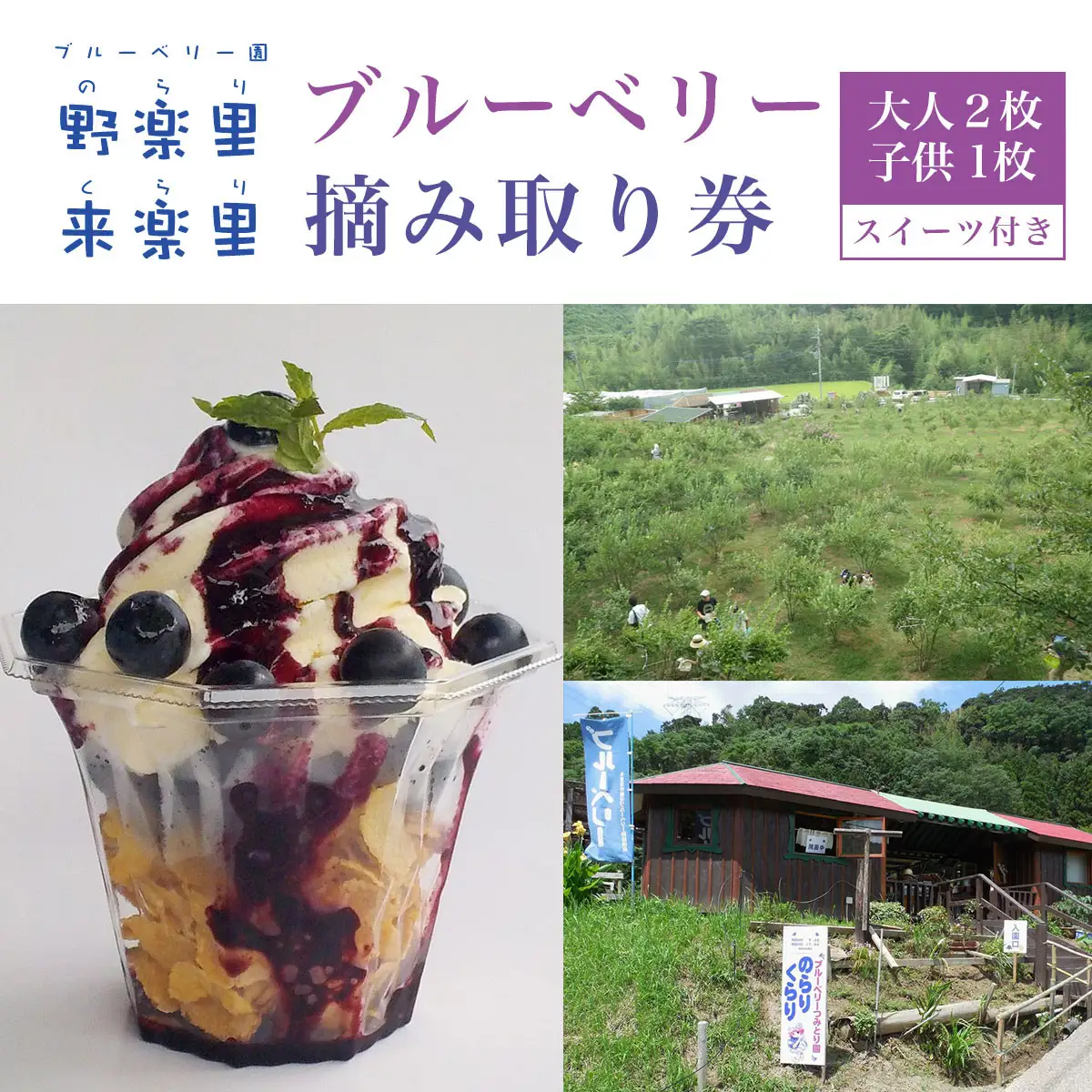 【先行予約】ブルーベリー園のらりくらり摘み取り券（大人２枚・子供１枚）スイーツ（１名様分） KCA005
