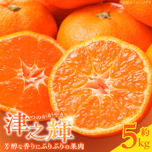 【2027年先行予約】和歌山産 津之輝 (つのかがやき) 5kg_G7057