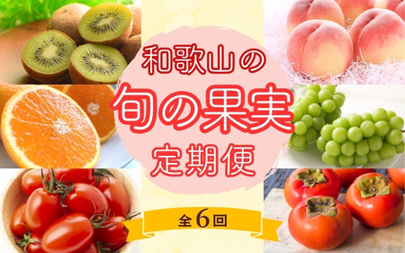 和歌山の旬の果実を 奇数月にお届け全6回定期便【TM49】【TM92156-tkb】